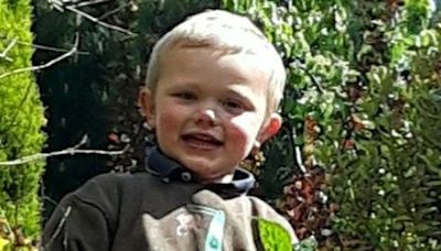 Daniel Twigg: Two people charged over three-year-old's death after dog attack