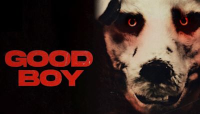 Dónde ver "Good Boy", la perturbadora película del hombre que actúa como perro