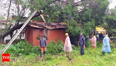 Six injured as banyan hammers car at Bicholim, houses marooned across Goa | Goa News - Times of India