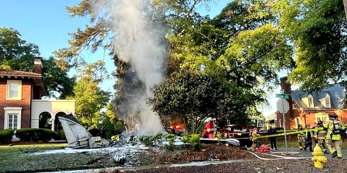 Pilot dies after crashing plane into tree, taking off from Daniel Field