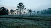 Onda de frio e geadas no Sul: Inmet emite novos alertas