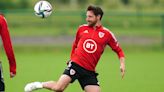 Robert Page: I was never going to leave Joe Allen out of Wales’ World Cup squad