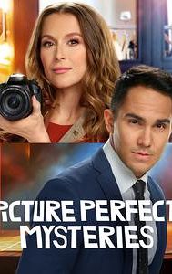 Picture Perfect Mysteries