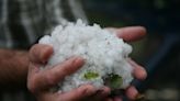 Storm unleashes record-breaking hail stone the size of a DVD in Canada