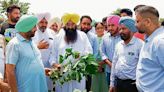 Punjab Agriculture Minister Gurmeet Singh Khuddian inspects Muktsar cotton fields