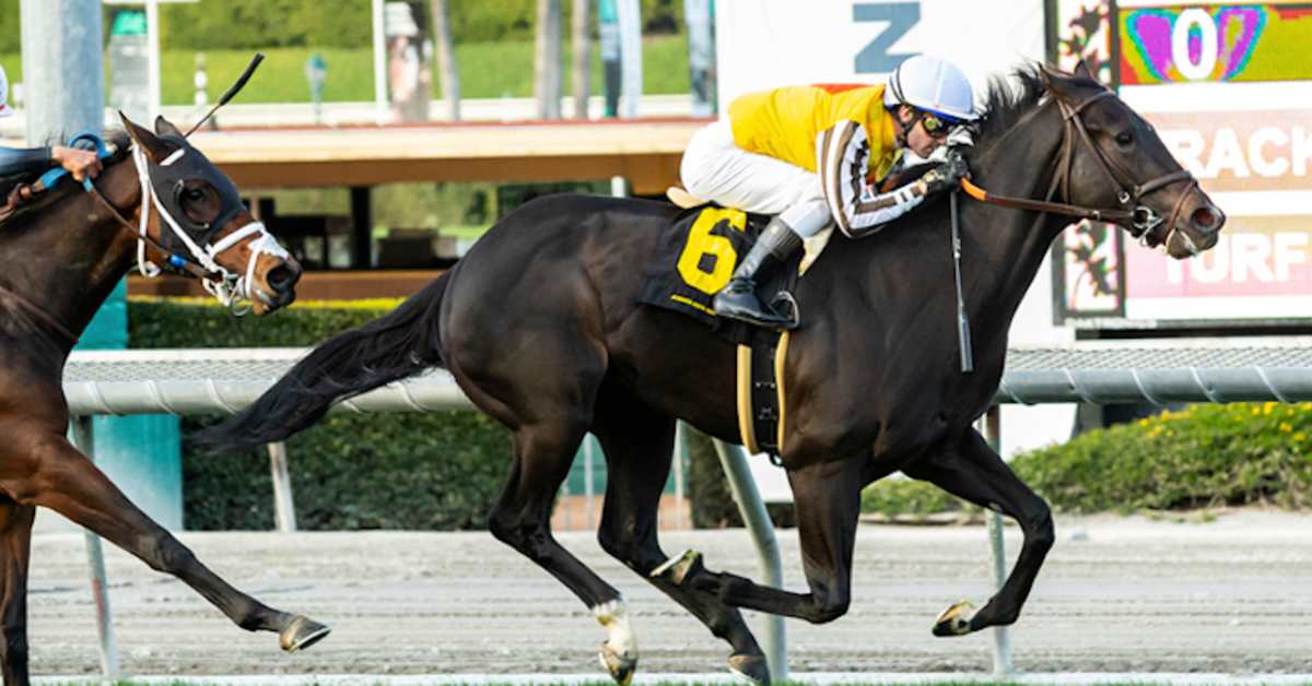 Equibase Analysis: Sumter Should Fire In San Francisco Mile