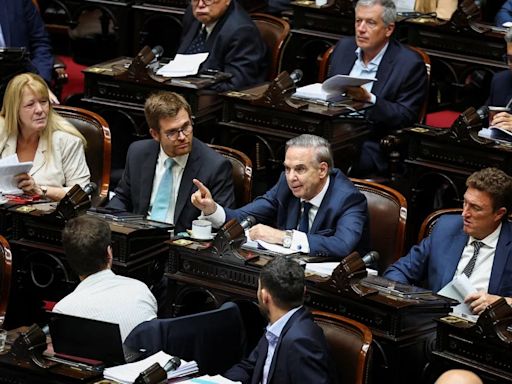 El bloque de diputados que integra López Murphy le exigió a Milei unas disculpas públicas