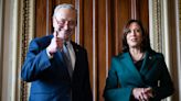 "Es capaz de liderarnos": Chuck Schumer y Hakeem Jeffries hacen público su apoyo a Kamala Harris