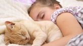 Beneficios y riesgos de dormir con tu gato: ¿es saludable compartir la cama con tu mascota?
