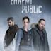 Public Enemy (TV series)