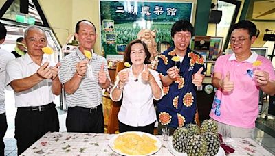 熱銷長紅逾百年 員山二湖鳳梨上市