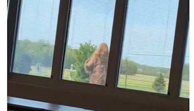 Lorain County school district put on lockdown after person dressed as Bigfoot appears