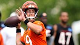 Bengals backup QB problem has fans dreaming of Andy Dalton