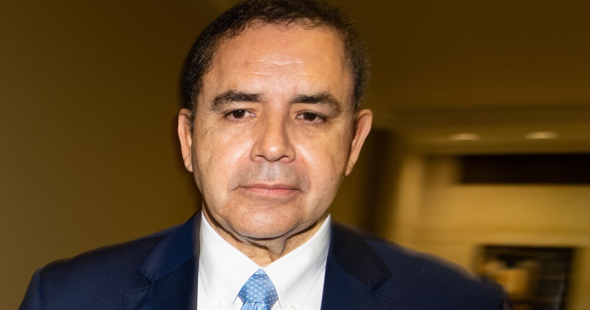 Democratic Leadership Wanted Rep. Henry Cuellar, And Now They're Stuck With Him