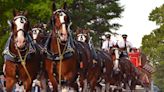 Hampton Falls 300th: Home Run Derby, Kids Field Day, Budweiser Clydesdale horses and more