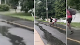 Man arrested as shocking video shows him pushing 11-year-old off his bike in suspected race hate crime