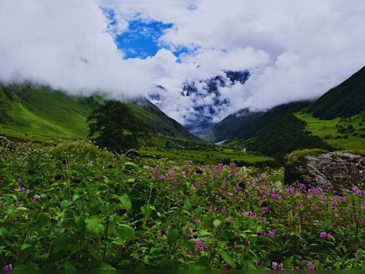 Uttarakhand: Valley of Flowers National Park – how to reach and best time to visit