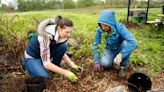 Students of different faiths unite to plant trees, give back | Cornell Chronicle