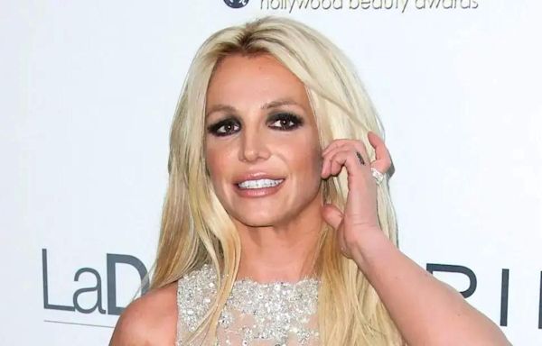 Britney Spears Is 'Completely Dysfunctional' as Singer's Mental Health and Poor Finances Put Her in 'Serious Danger': Source