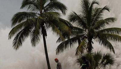 Piden ayuda para combatir cambio climático