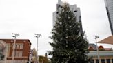 Is Fort Worth’s official Christmas tree the largest in Texas? Other facts you didn’t know