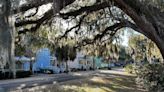 Port Royal OKs highest penalties in SC for tree removal. ‘We have a responsibility’