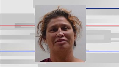 Female person of interest in vehicle theft arrested in Cameron County