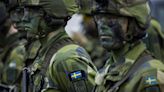 Sweden’s New Model Army