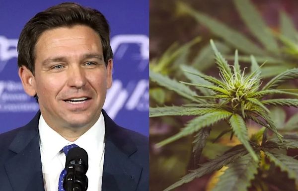 Ron DeSantis' Plan To Scuttle Florida's Cannabis Legalization Initiative With His Vast Fundraising Network, GOP Apparatus