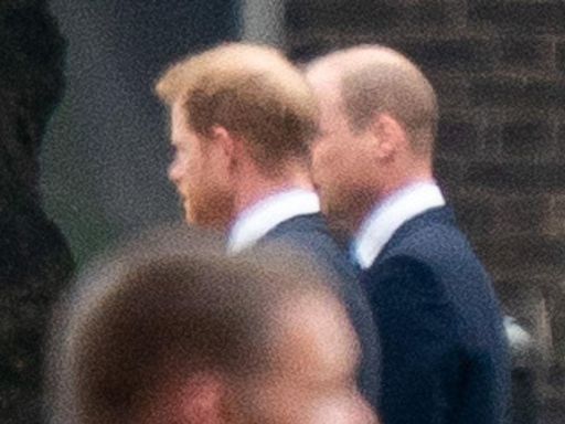 Prince William 'Shut the Door' on Prince Harry Taking on Royal Duties, Insider Claims: 'He Thinks His Brother Is Stupid'