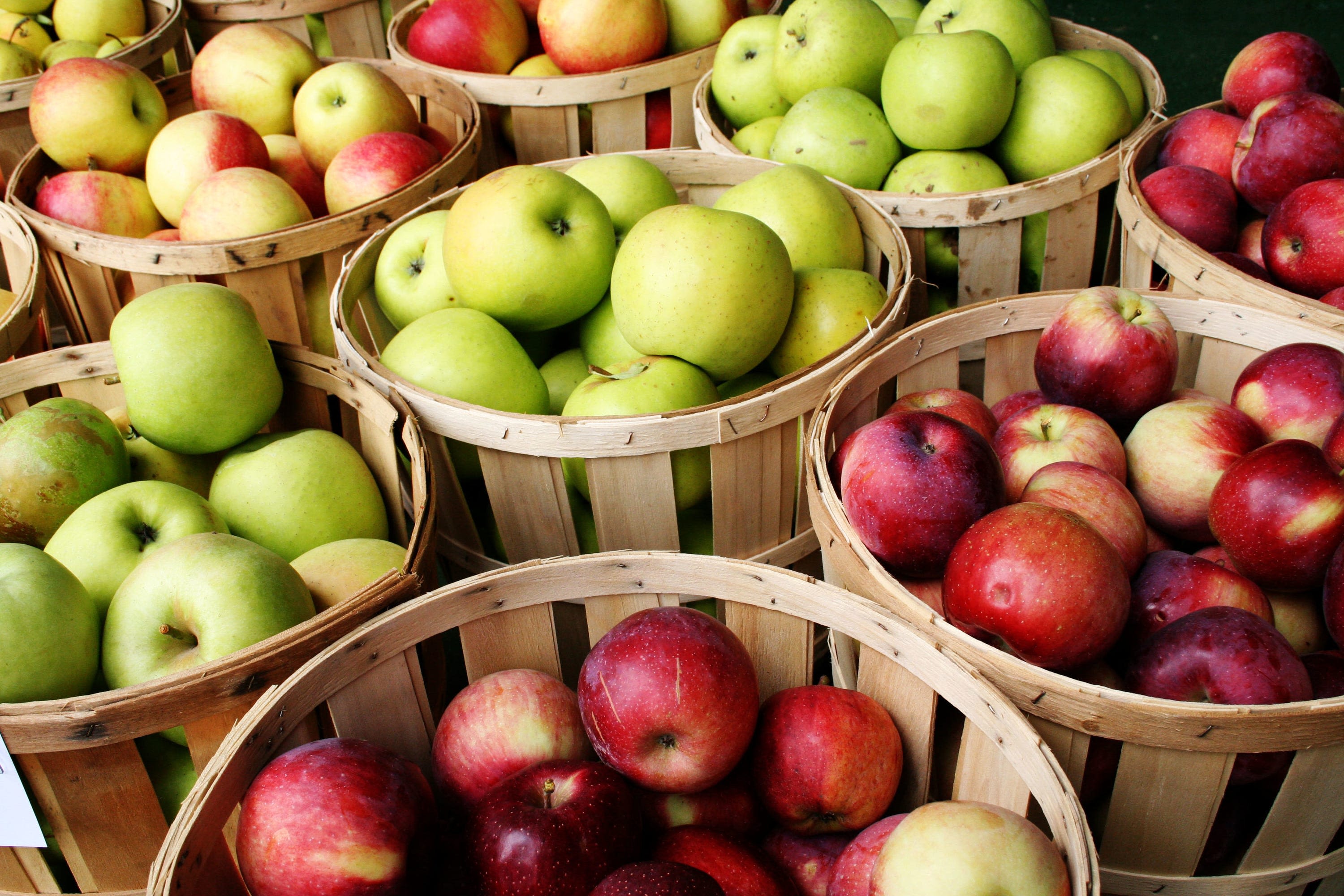 From apples to pawpaws to oysters, check out these fall events in York and Adams counties