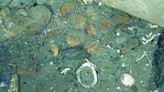 New artefacts found on ‘holy grail of shipwrecks’ off Colombia