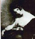 Elisabeth Médora Leigh-Byron