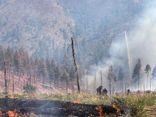 NM wildfires grow to 12,000 acres and $28 million estimated cost