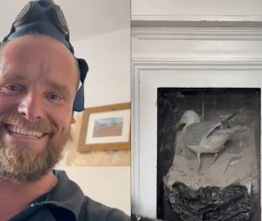 Chimney sweep captures moment ‘rambunctious’ seagull falls from an old flue