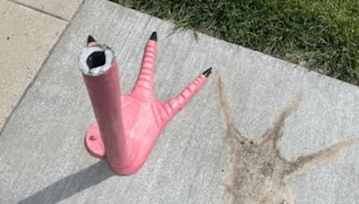 Mystery: Large pink flamingo from Parma vanished