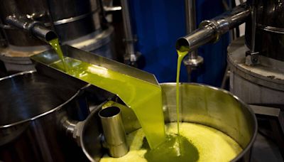 「液體黃金」橄欖油飆天價 西班牙境內竊案頻傳 - 自由財經