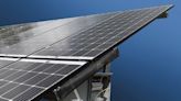 NextEra puts a hold on Timberwolf Solar Project