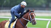 Here are the horses competing in the 2024 Preakness Stakes