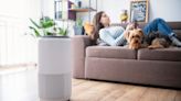 Our Favorite Air Purifiers for Smoke Are Up to $150 Off Right Now