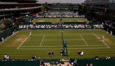 Wimbledon offers up more public land as club seeks to get expansion over the line