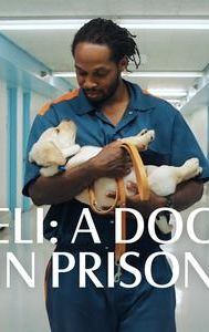 Eli: A Dog In Prison