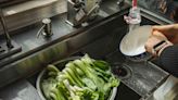 Bok Choy: Benefits of Cooking With Cabbage