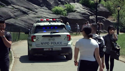 NYPD emite alerta pública en medio de aumento de robos en Central Park