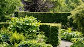 15 of the best hedges to grow for privacy, shelter and wildlife