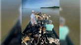 38 dogs were close to drowning on a Mississippi lake. But some fishermen had quite a catch