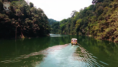 Yayasan Sime Darby calls for collective action to preserve Malaysia’s central forest spine from Kedah to Johor