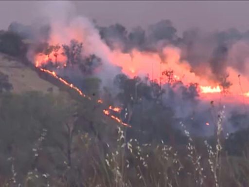 Megaincendio se convierte en uno de los más grandes en la historia de California