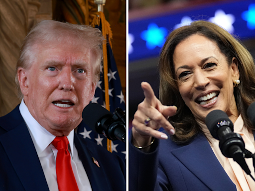 Kamala Harris campaign trolls Trump with video of empty seats at his rally