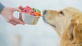 Conoce los 10 alimentos de consumo humano que puedes compartir con tu mascota